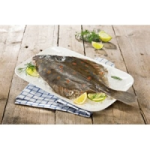 MSC Scholle 4.99 €