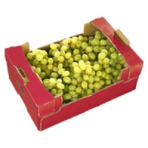 T&uuml;rkei Tafeltrauben hell, kernlos Sultanas