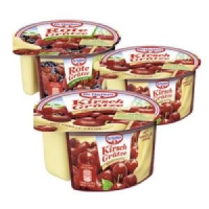 Dr. Oetker Gr&uuml;tze mit So&szlig;e