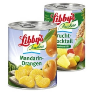 Libbys Mandarin Orangen oder Frucht-Cocktail, naturs&uuml;&szlig;