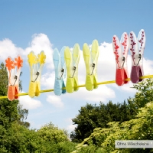 W&auml;scheklammern 2.49&nbsp;&euro;