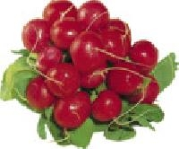 Radieschen 0.79 €