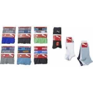 2er Pack Herren Pant 9.99 €