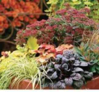 Herbstzauber