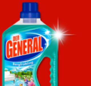 DER GENERAL Allzweck-Reiniger 1.19 €