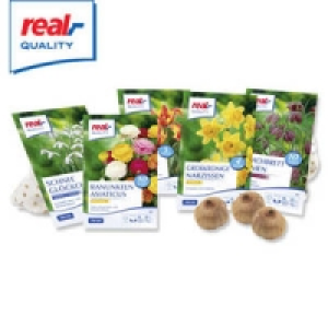 Blumenzwiebeln 1.49 €