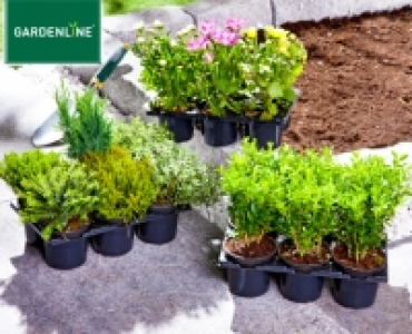 GARDENLINE®Herbstmix 3.59 €