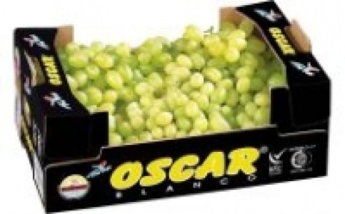 Tafeltrauben 2.99 €
