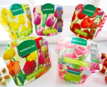 GARDENLINE®Blumenzwiebel-Mischung 3.99 €