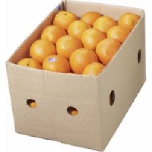 Saftorangen 13.99 €