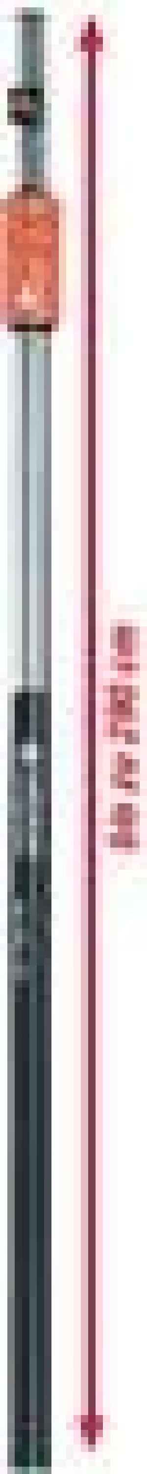 Teleskopstiel 160 - 290 cm lang