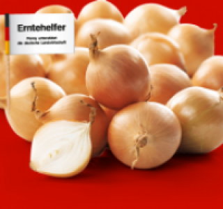 Zwiebeln 0.59 €