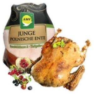 Junge Ente 2.49&nbsp;&euro;