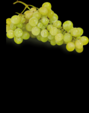 Weiße Trauben Italia 1.97 €
