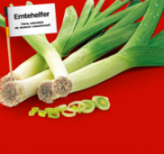 Lauch 0.79 €
