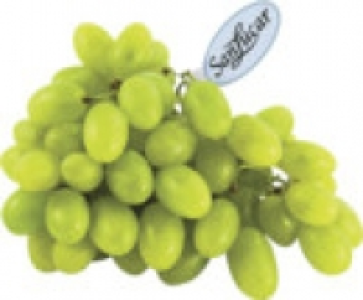 Trauben hell, rot 2.99 €