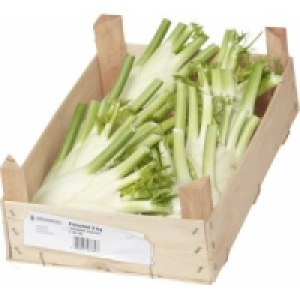 Fenchel 5.99 €