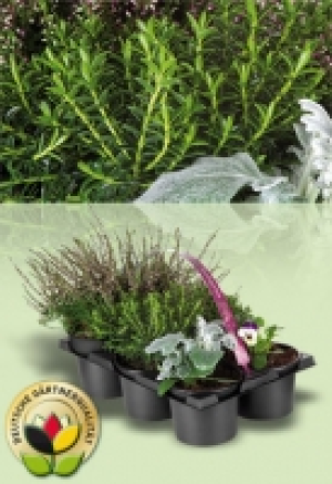 Heidegarten Mix 4.99 €