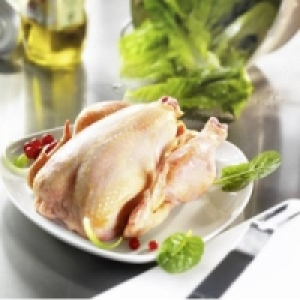 Fine Food Finestro Maishähnchen 3.79 €