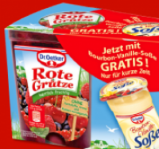 DR. OETKER Fruchtgrütze mit Soße 1.69 €