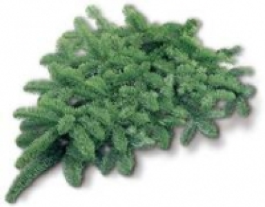 Handbund, Nordmanntanne 500 g 1.99&nbsp;&euro;