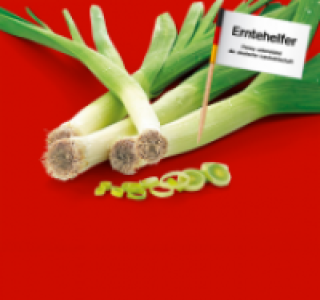 Lauch 0.79 €