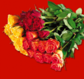 Fairtrade Rosen 2.49 €