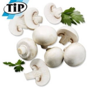 Niederlande/Polen Champignons, wei&szlig; 1.99&nbsp;&euro;