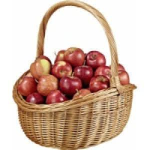 &Auml;pfel versch. Sorten 9.99&nbsp;&euro;