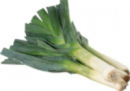 Lauch 0.99 €