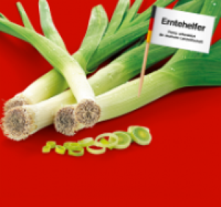 Lauch 0.79 €
