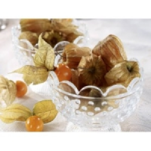 Physalis 0.99 €