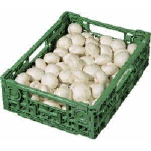 Champignons weiß 6.79 €