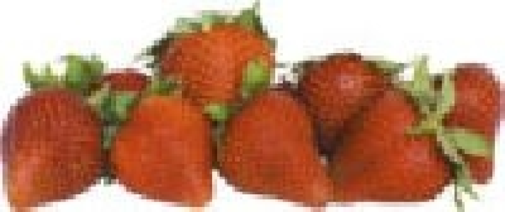 Erdbeeren 1.49 €