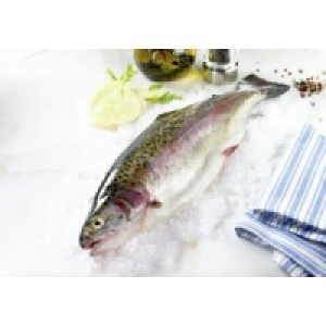 Regenbogenforelle 6.99 €
