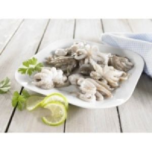 Moschus Krake Moscardini 8.49&nbsp;&euro;