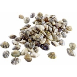 Teppichmuschel Vongole Verace 6.99 €