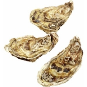 Felsenauster Fine de Claire Nr.2 0.79&nbsp;&euro;