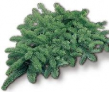 Handbund, Nordmanntanne 500 g 1.99&nbsp;&euro;