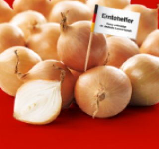 Zwiebeln 0.49 €