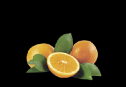 Orangen 1.79 €