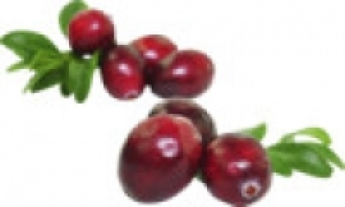 Cranberries 1.49 €