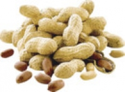 Erdn&uuml;sse 0.99&nbsp;&euro;