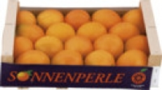 Orangen 2.99 €
