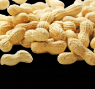 Erdn&uuml;sse 0.99&nbsp;&euro;