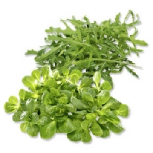 Deutschland/Frankreich Feldsalat oder Italien Rucola Salat 0.99&nbsp;&euro;