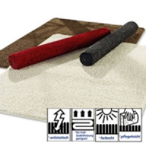 Hochflor-Teppich 29.95&nbsp;&euro;