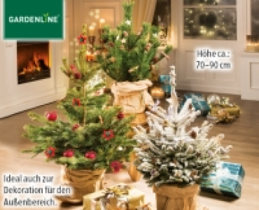 GARDENLINE®Weihnachtsbaum 14.99 €