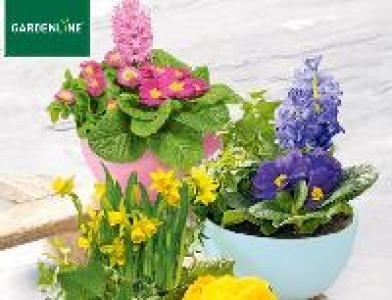 Gardenline Bepflanzte Frühlingsschale