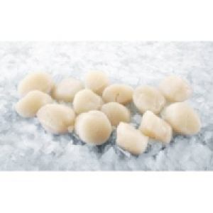 MSC Kammmuschelfleisch 24.99 €